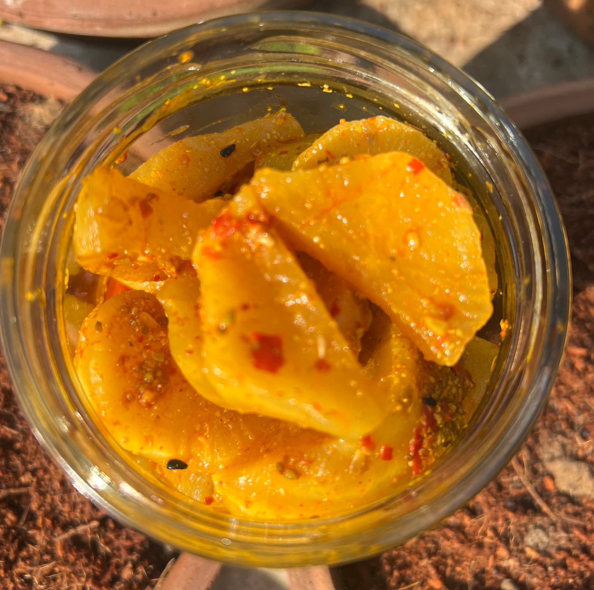 Radish Pickle, preserve