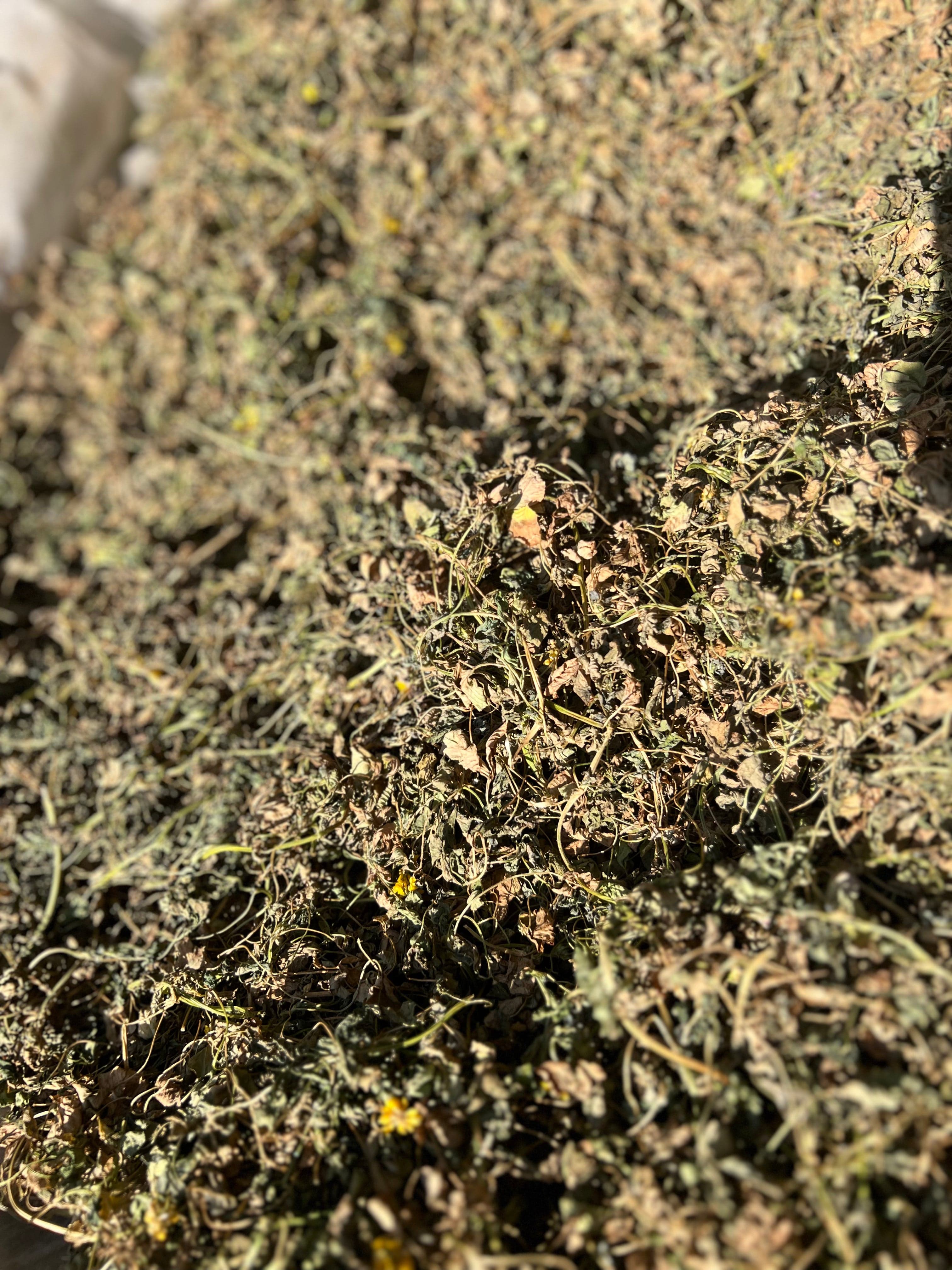 Sun-dried Fenugreek, kasuri methi powder