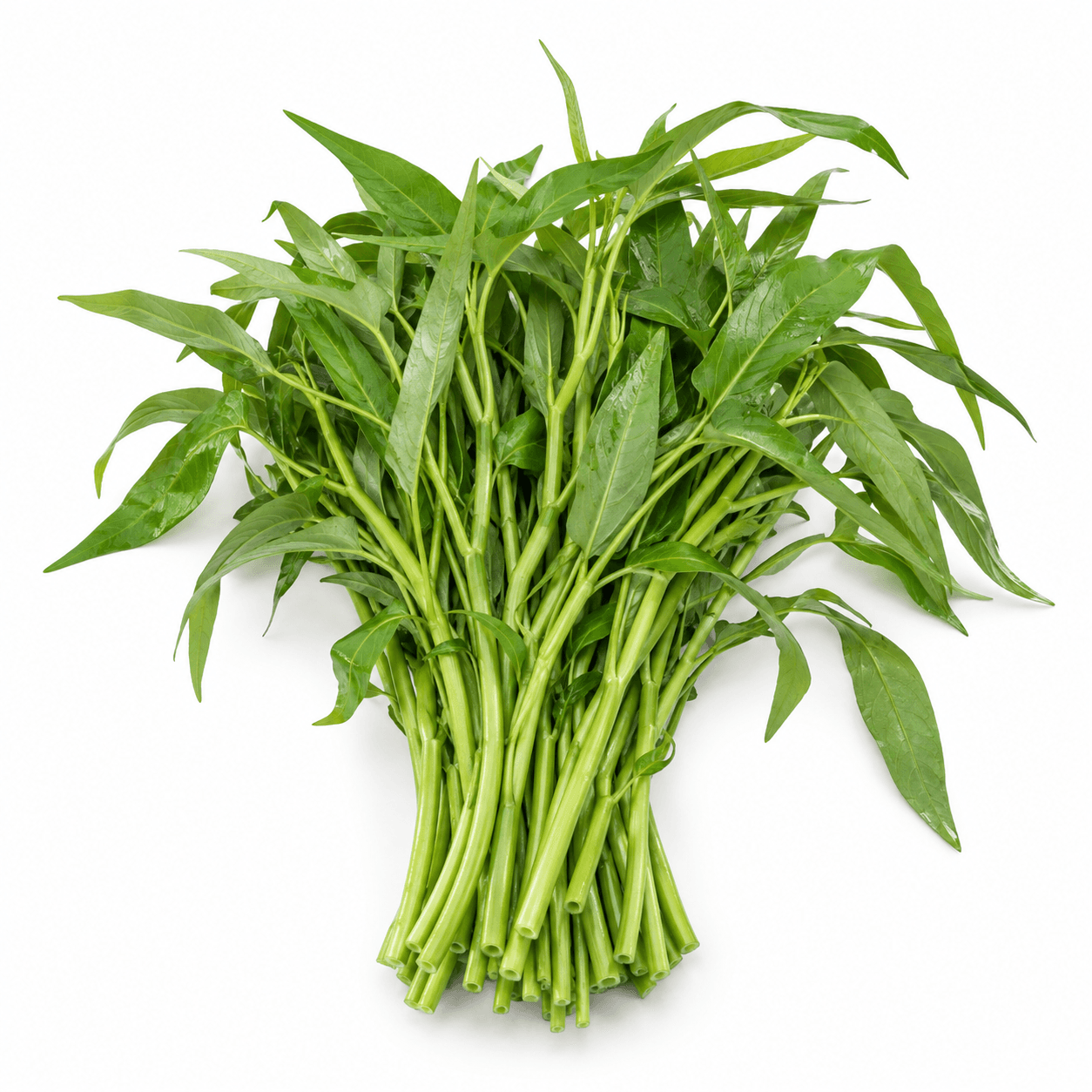 water spinach, morning glory
